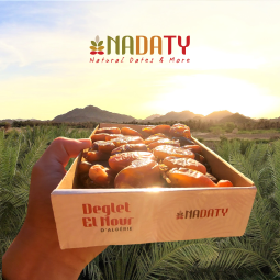 Dattes Algeriennes Deglet Nour  Prémium 1kg