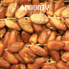 Dattes Algeriennes Deglet Nour  Prémium 1kg